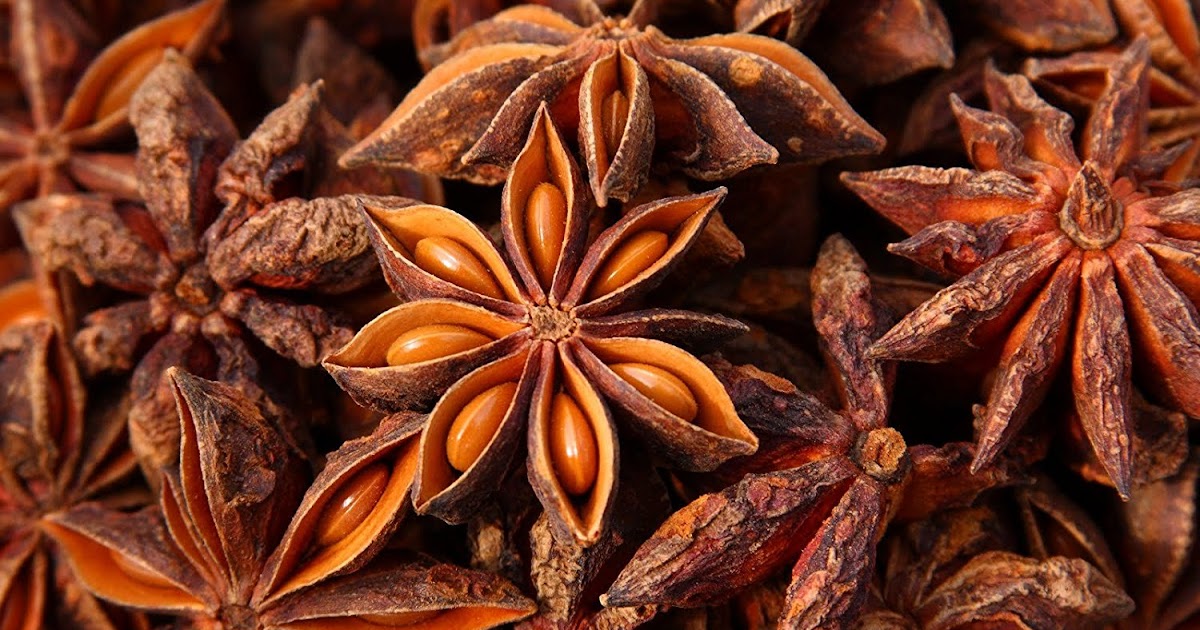 Star Anise as Medicinal Spice ArbieMAZING Spot