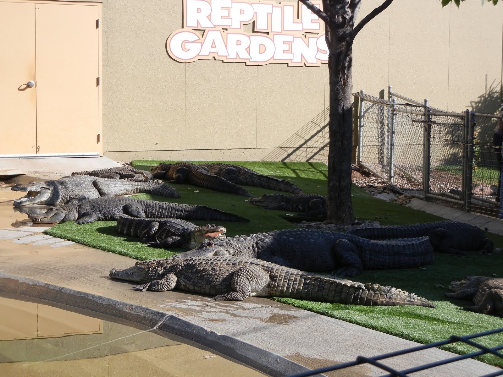 wineRV Reptile Gardens