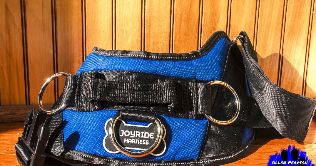 Product Review! Joyride Harness! from the Dog's Paw A Bloggery of a