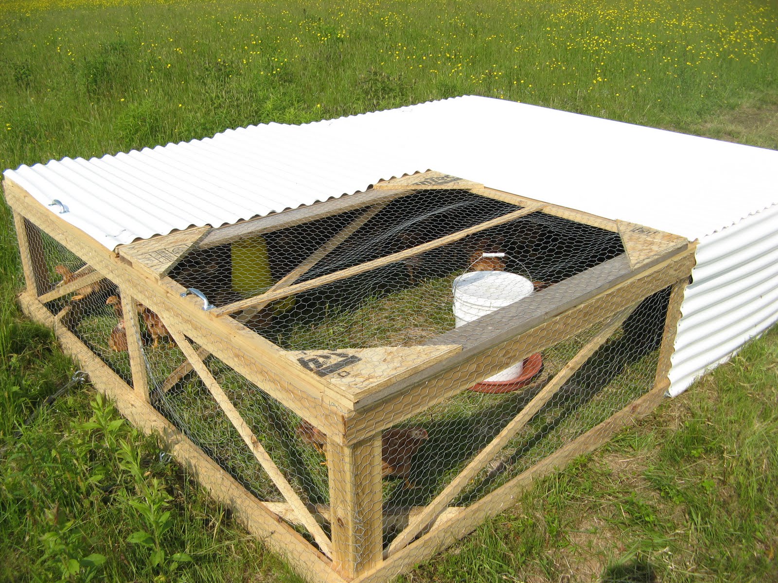 DAVID'S FOLLY FARM Chicken Tractor