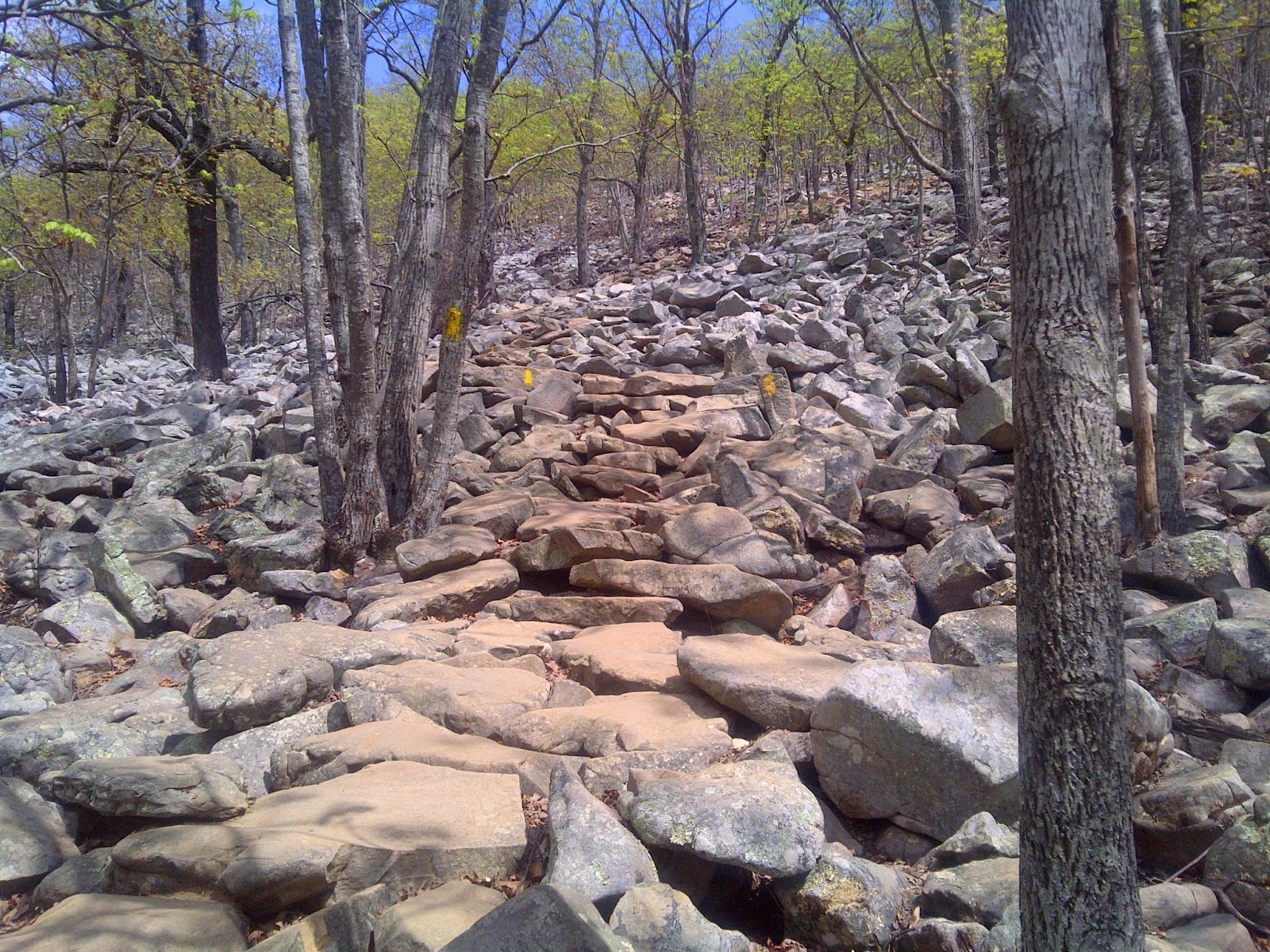 HikeyHikey!: Hiking Little Rock Arkansas - Pinnacle Mountain State Park