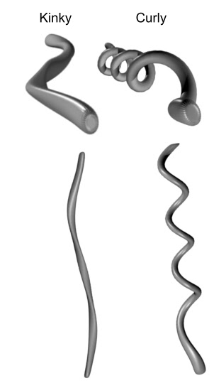 THE NATURAL HAVEN: Curly vs Kinky : What is the difference?