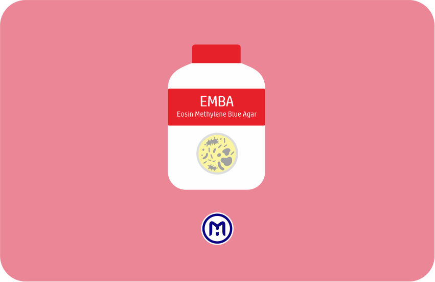 Eosin Methylene Blue Agar (EMBA) - Definisi, Komposisi, Cara Pembuatan ...