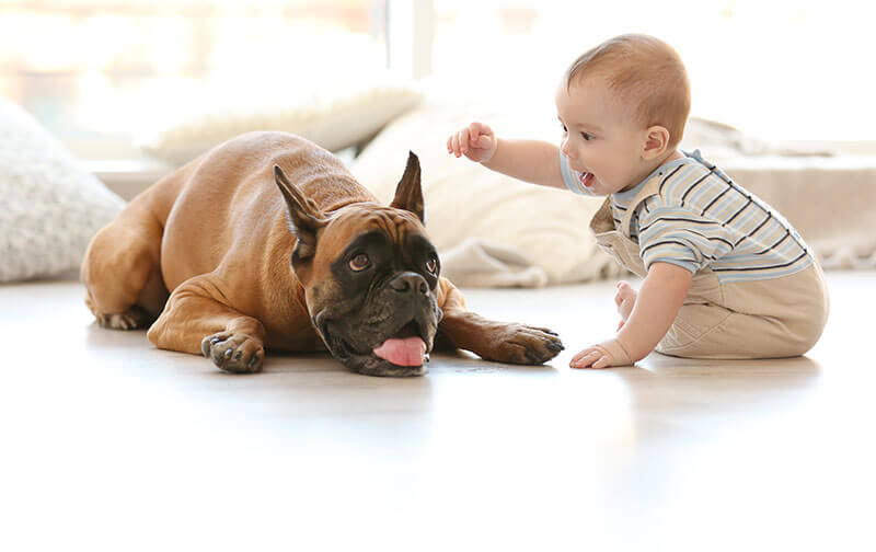 dog and baby on hard floor