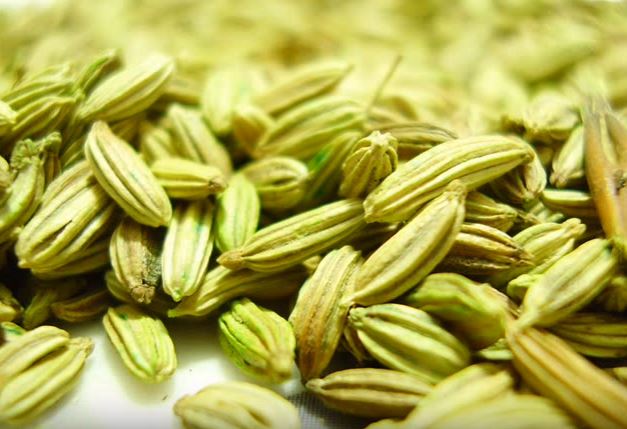 fennel seeds memory booster