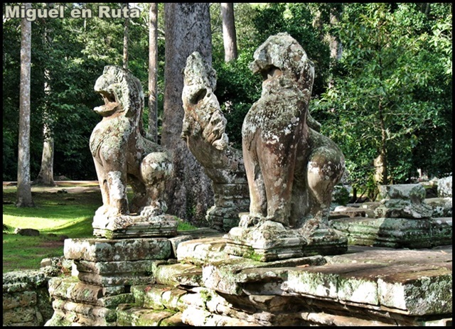 Templos-Angkor-Caras-Bayón_2