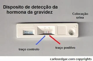 Teste de gravidez positivo