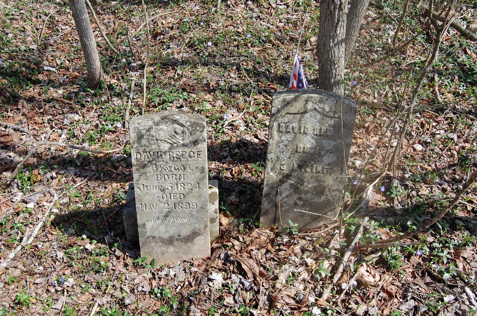 Dancing in the Gardens of Those Gone Before John Reece Cemetery