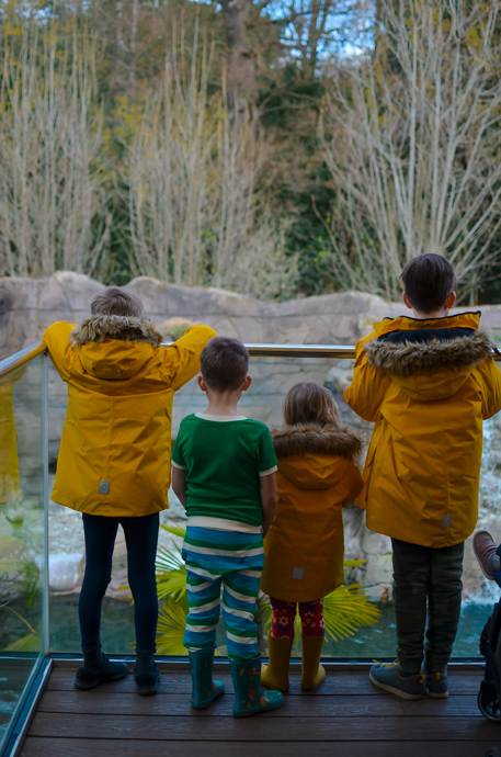 Colchester zoo, visit Essex, Colchester with children