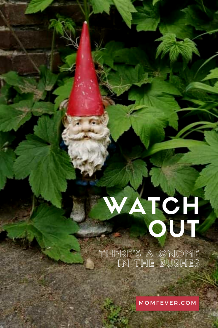 Garden gnome garden gnome