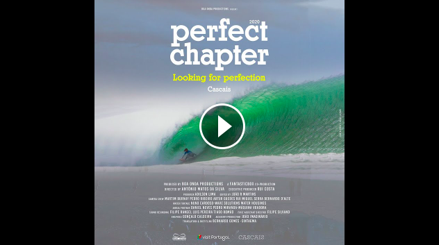 Looking for Perfection