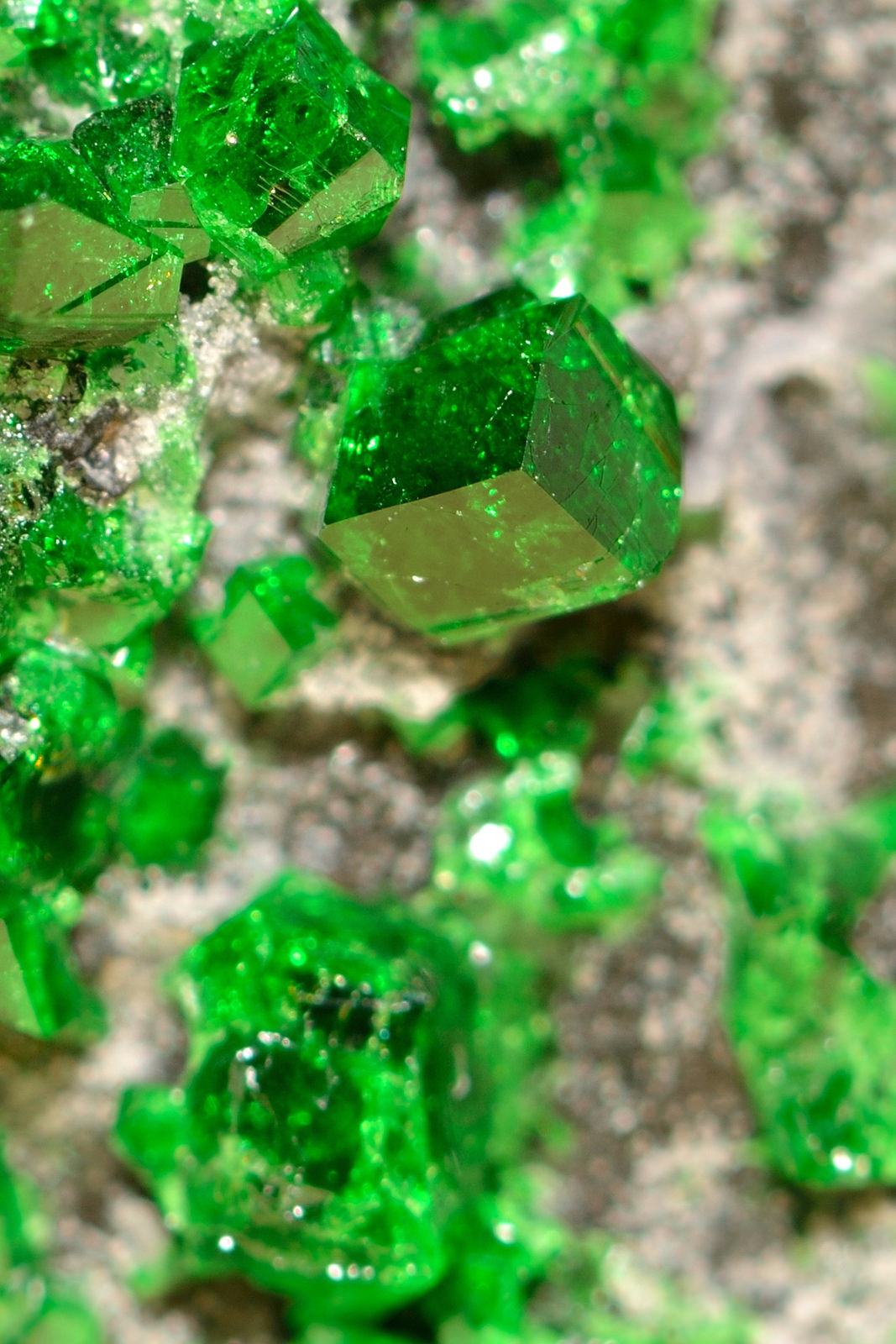 Image credit kva_pharm