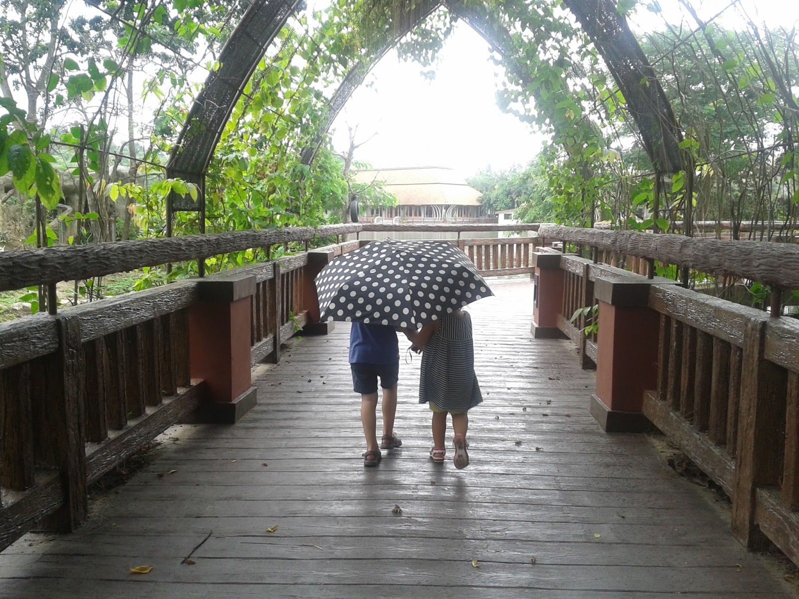 6 Months in Kuala Lumpur In The Rainy Season