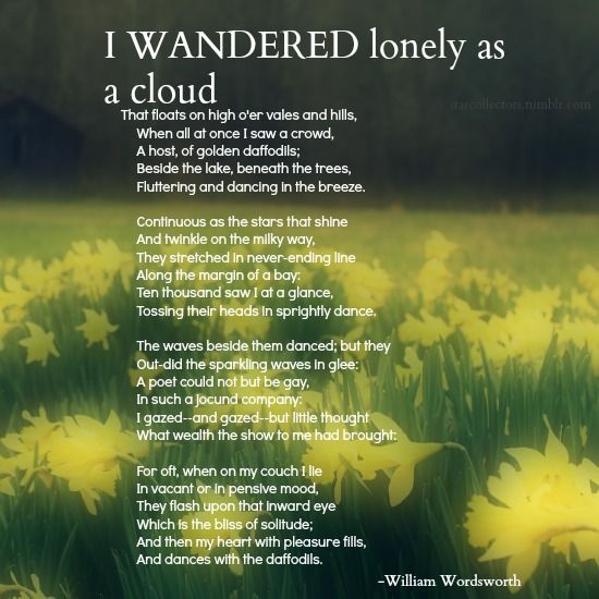 I wandered Lonely As A Cloud Answer / Questions with Explanation