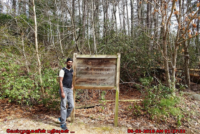 Panther Creek Trail in Georgia