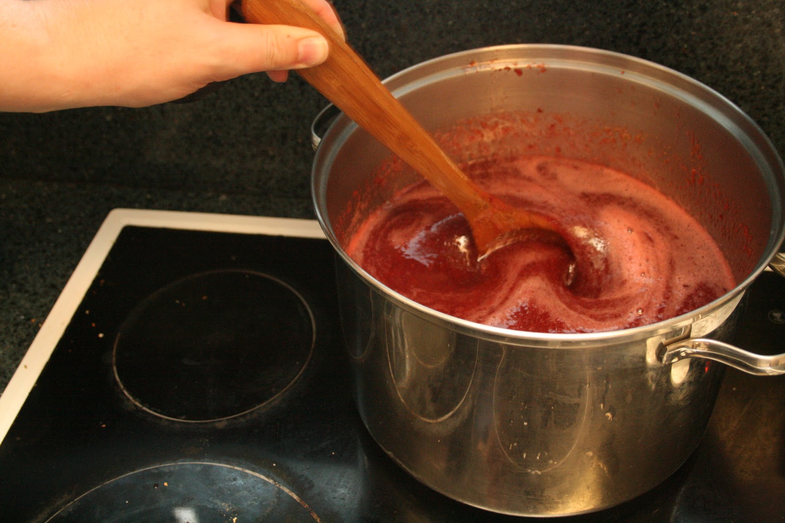 Tool Chick's Guide To Life Plum paste recipe