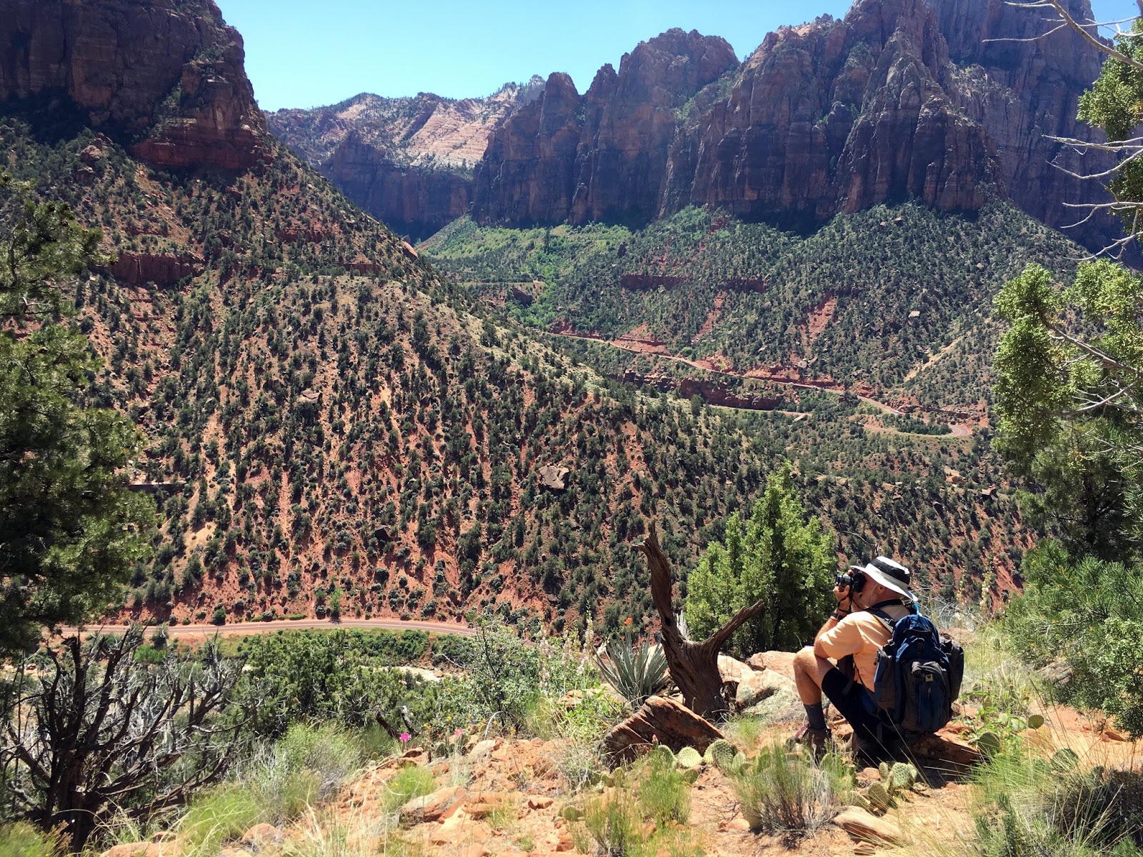 Around The Bend Friends Sand Bench Trail Zion National Park