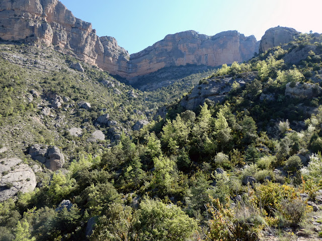 rocayflor Peña Brocoló, sierra de Sis
