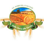 Collaborazione Azienda Agricola Vallese