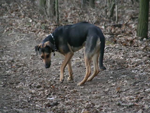 Bernau LIVE - Dein Stadtmagazin für Bernau bei Berlin