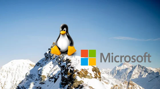 Pilih Microsoft Windows atau Linux bagi Developer Website