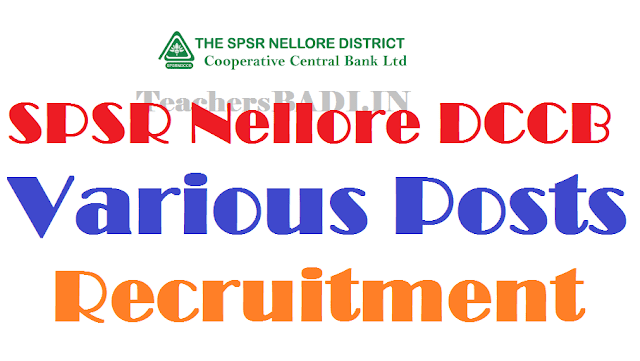 SPSR Nellore DCCB Assistant Managers, Staff Assistants/ Clerks Recruitment 2016 SPSR Nellore DCCB Assistant Managers, Staff Assistants/ Clerks Recruitment 2016