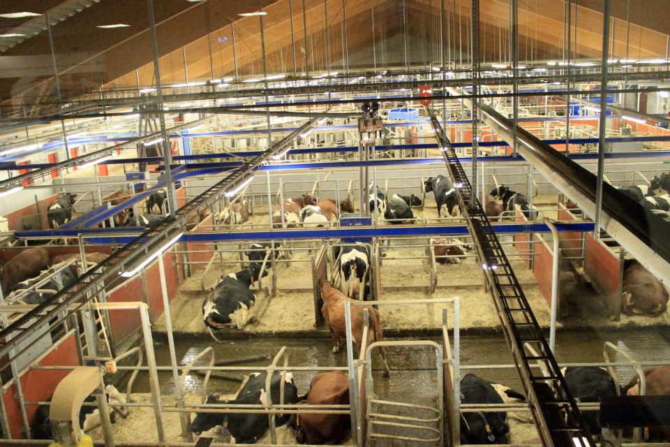 Nomenclature for Souvarian: Dairy Farm at Lovsta, Uppsala