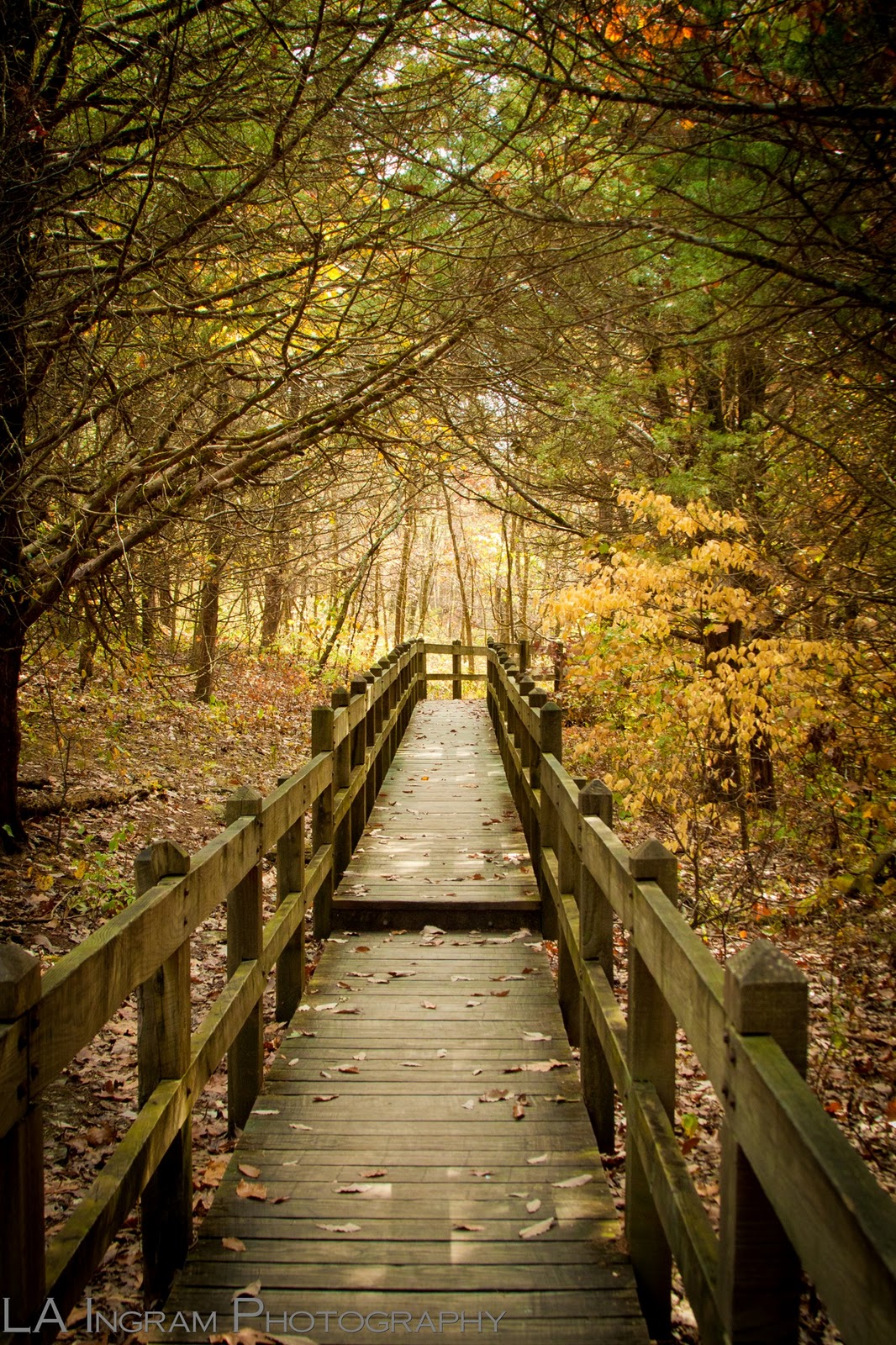 LA Ingram Photography Tuesday Oct. 10th Rock Bridge State Park