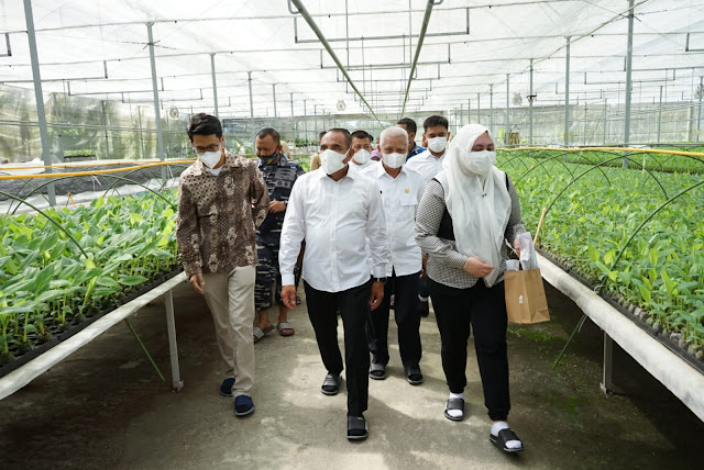 Bupati bersama Wabup Asahan, Mendampingi Gubsu Mengunjungi PT Hijau Surya Biotechindo Bupati bersama Wabup Asahan, Mendampingi Gubsu Mengunjungi PT Hijau Surya Biotechindo