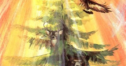 Iroquois confederacy essay image