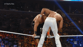 Smackdown #0: Seth Rollins vs Randy Orton Superplex%2Band%2BFalcon%2BArrow