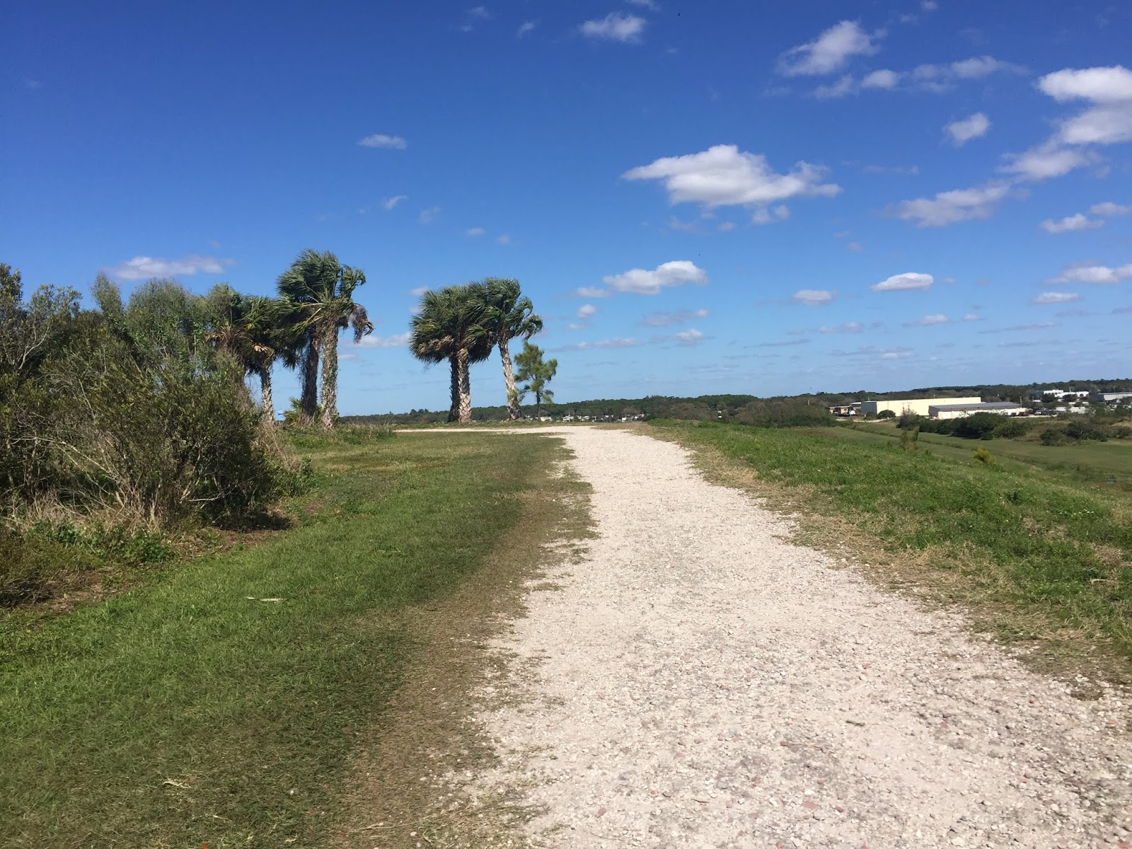 Boutilier's Blog Hiking the celery fields