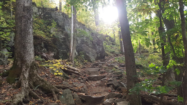 Sentier en direction du mont Chauve