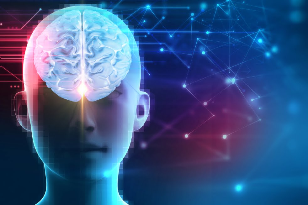 Il cervello non funziona come un computer (e per fortuna!), cambio di paradigma
