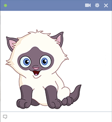 Playful cat Facebook sticker