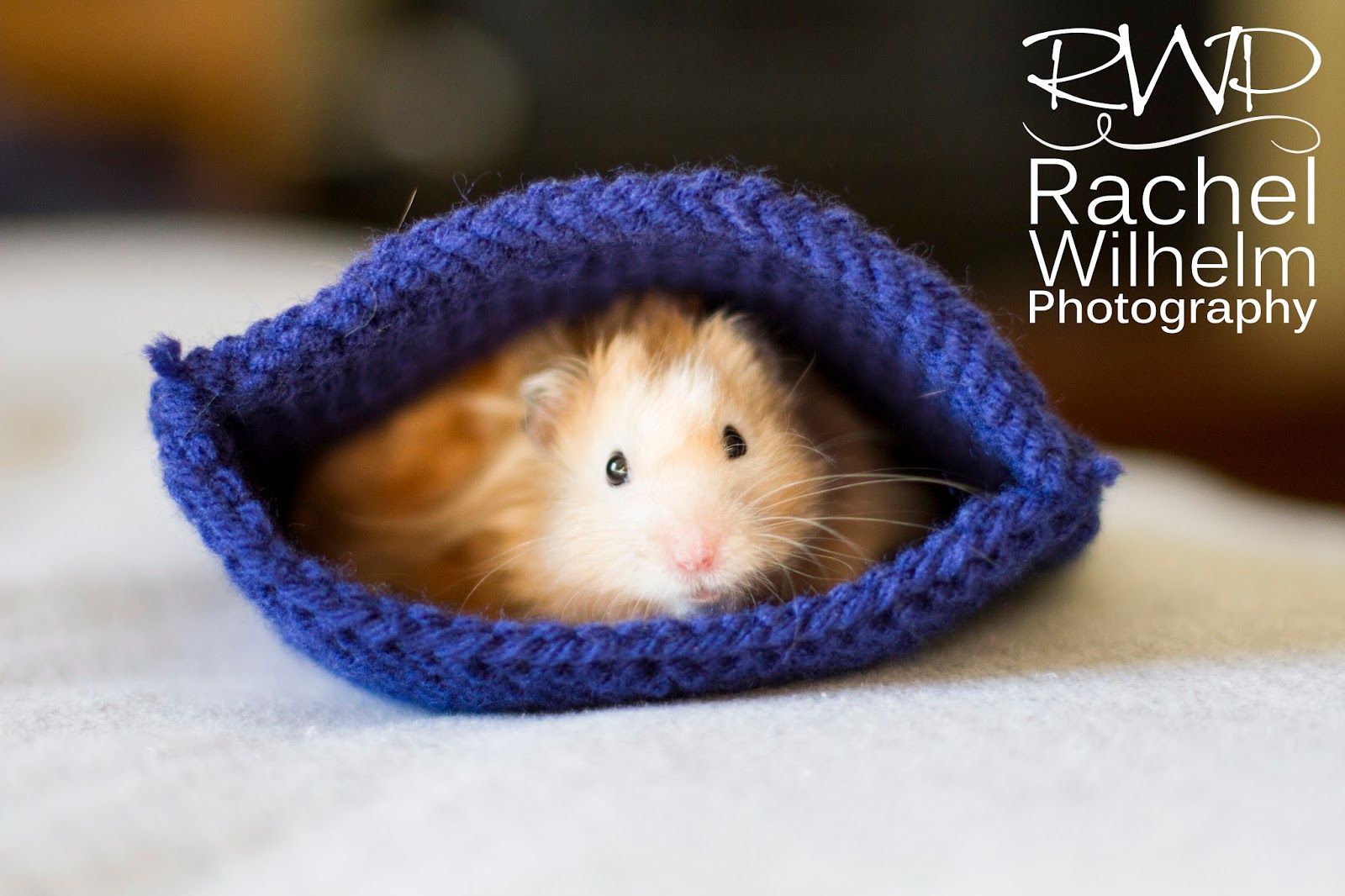 Tales of Tarcil & Friends Snuggle Pouch