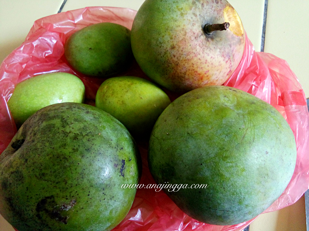 Jenis Mangga Di Malaysia / Jual Produk Buah Mangga Mahatir Malaysia