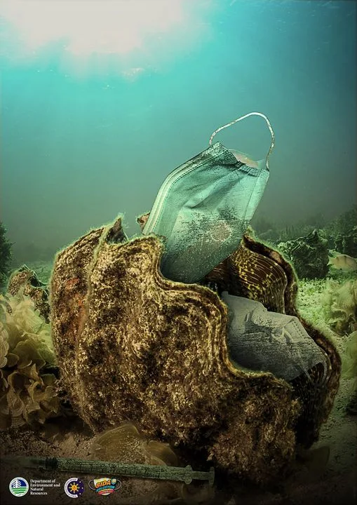 giant clams affected by waste face mask underwater pollution