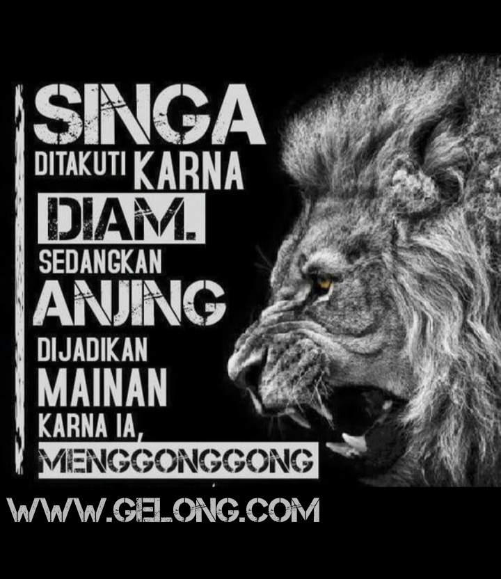 Kata kata bijak: November 2019