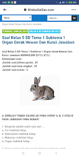 Tutorial Cara Download Soal di Website Bimbel Brilian Dengan Lengkap