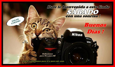 fotografias de feliz sabado amigos