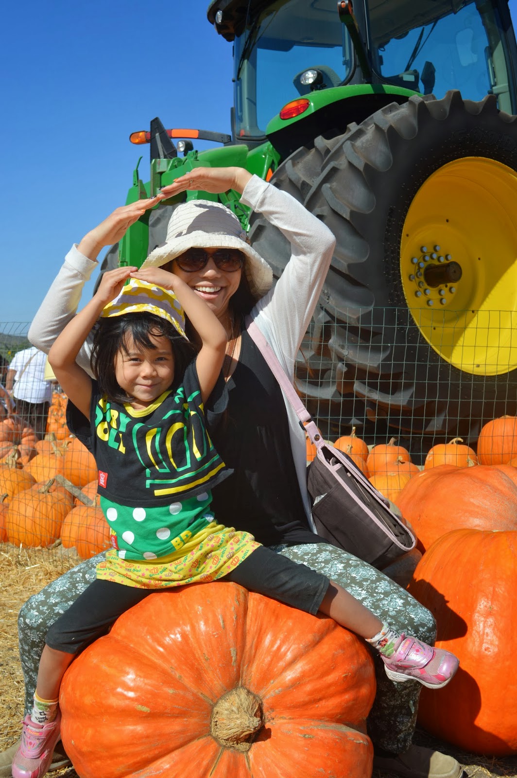 Brigitte's Life Pumpkin Patch! パンプキンパッチ！