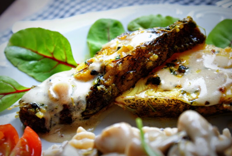 Halibut niebieski dzwonko