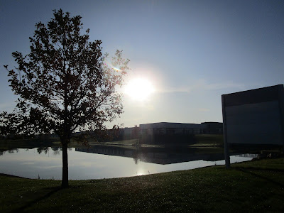 Pond at sunrise