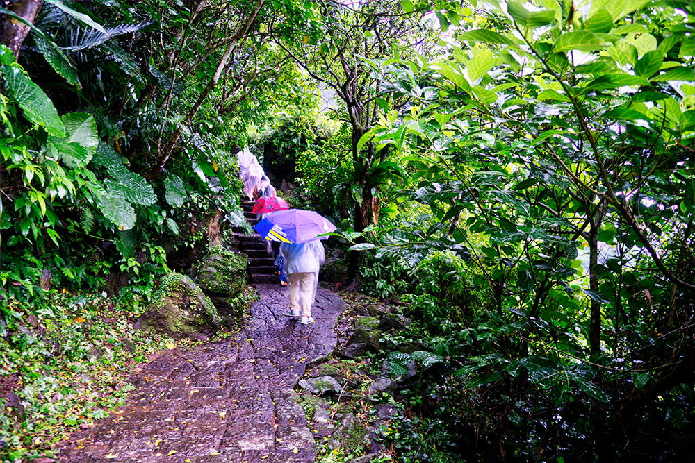 ［宜蘭縣頭城鎮］龜山島登島日記