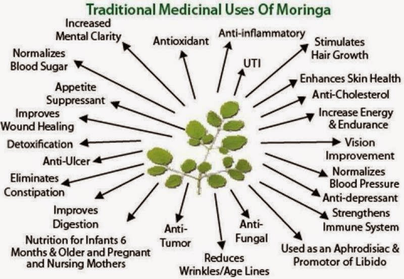 Các chất dinh dưỡng  trong Moringa 