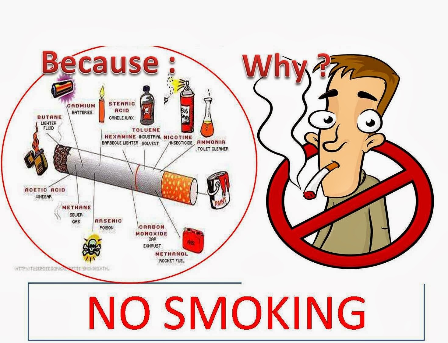  Gambar  Anti Merokok  No Smoking Dilarang merokok  My First