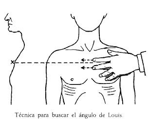 Luis Rafael Pérez Estrella (2-09-0755): Examen del tórax y pulmones