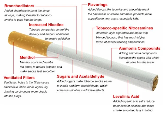 Deadly Content of Cigarettes