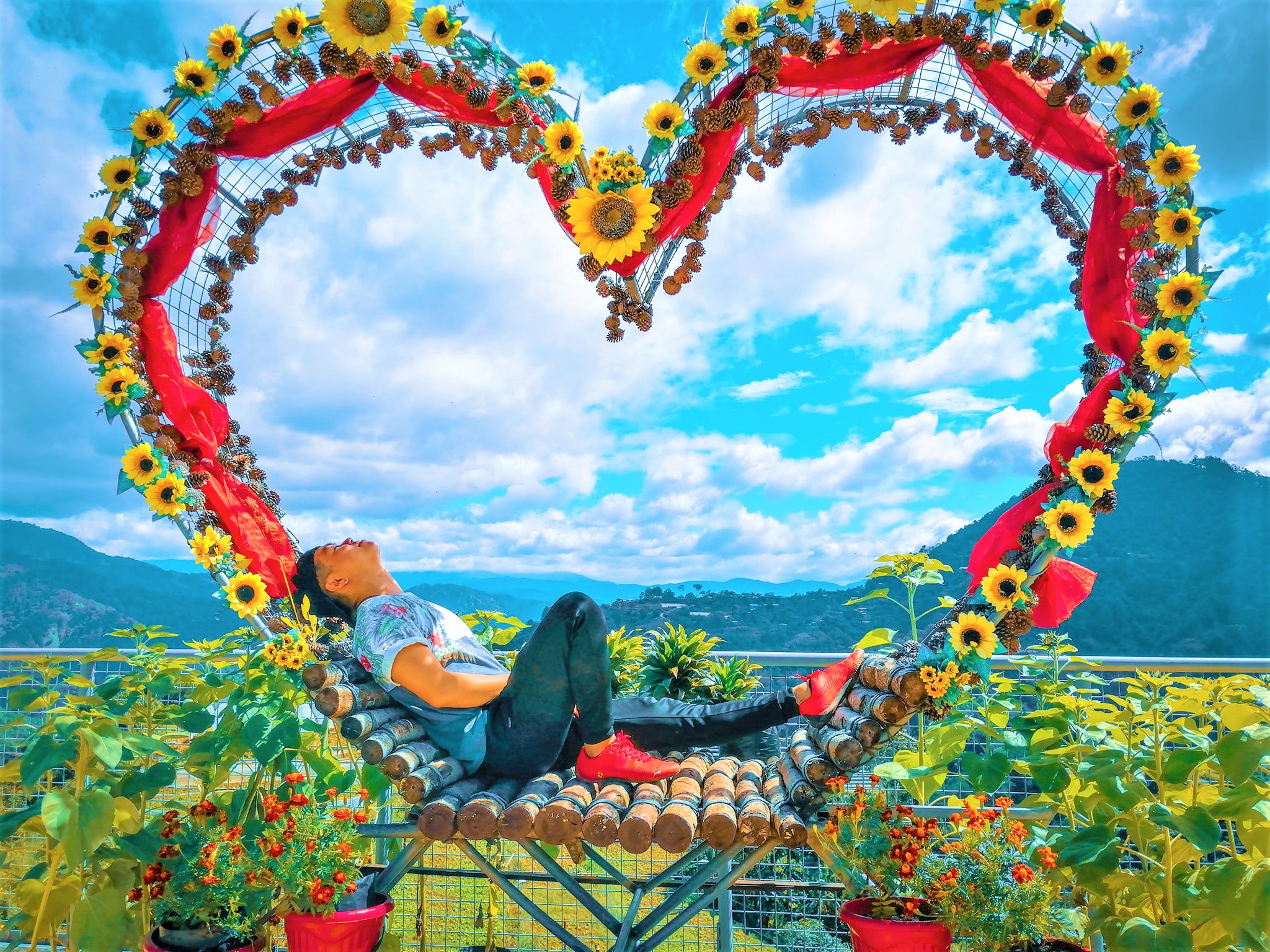 La Trinidad's beautiful gardens now open for Baguio and Benguet